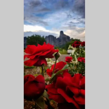 Luxury Meteora A7 Stars Kalambaka